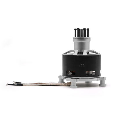 Hoog vermogen 154120 80 kg aandrijving zware lift borstelloze motor 90V voor commerciële exploitatie